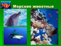 Презентация по окружающему миру в старшей группе