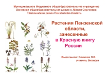 Презентация Растения Пензенской области, занесенные в Красную книгу России