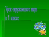 Презентация к уроку окружающего мира в 1классе Мы не будем рвать цветы и ловить бабочек