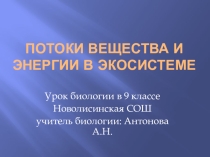 Презентация к уроку биологии в 9 классе Потоки вещества и энергии в экосистеме