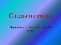 Презентация Следы на снегу