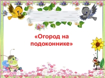 Презентация проекта Огород на подоконнике