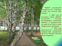 Презентация Обобщение практики работы ППО МБДОУ Атемарский детский сад №1 Теремок