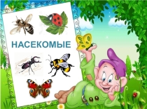 Презентация к интегрированному занятию по лексико-грамматической теме Насекомые