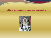 Презентация  Покормите птиц зимой!