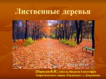 Презентация по биологии на тему Лиственные деревья