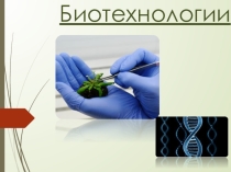 Презентация по Биологии на тему Биотехнологии