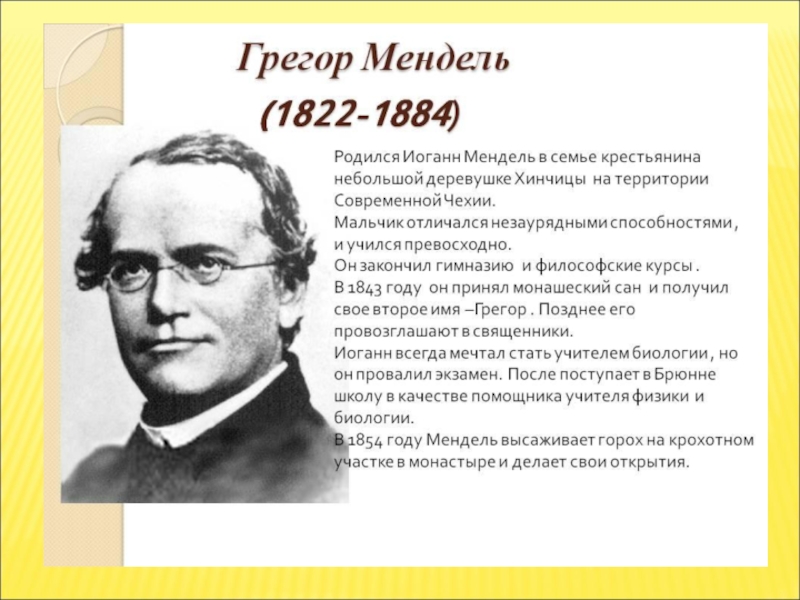 Презентация урока Дигибридное скрещивание