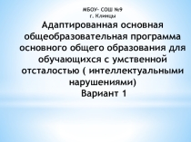 Адаптированная основная общеобразовательная программа основного общего образования для обучающихся с умственной отсталостью ( интеллектуальными нарушениями) Вариант 1