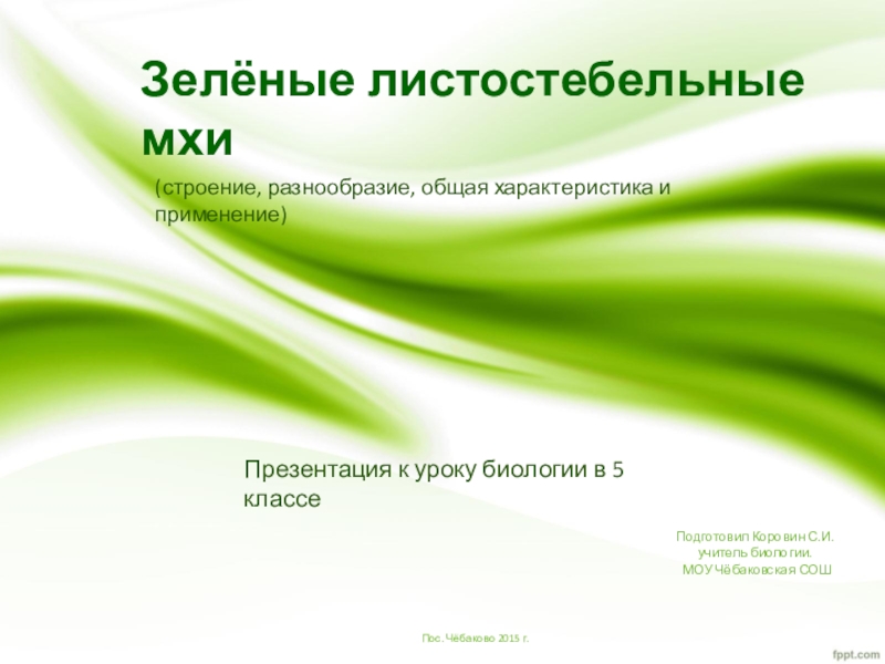 Презентация по биологии на тему Зелёные мхи (5 класс) Зелёные листостебельные мхиПрезентация к уроку биологии в 5 классеПодготовил Коровин С.И. Зелёные листостебельные мхиПрезентация к уроку биологии в 5 классеПодготовил Коровин С.И. учитель биологии. МОУ Чёбаковская СОШПос. Чёбаково