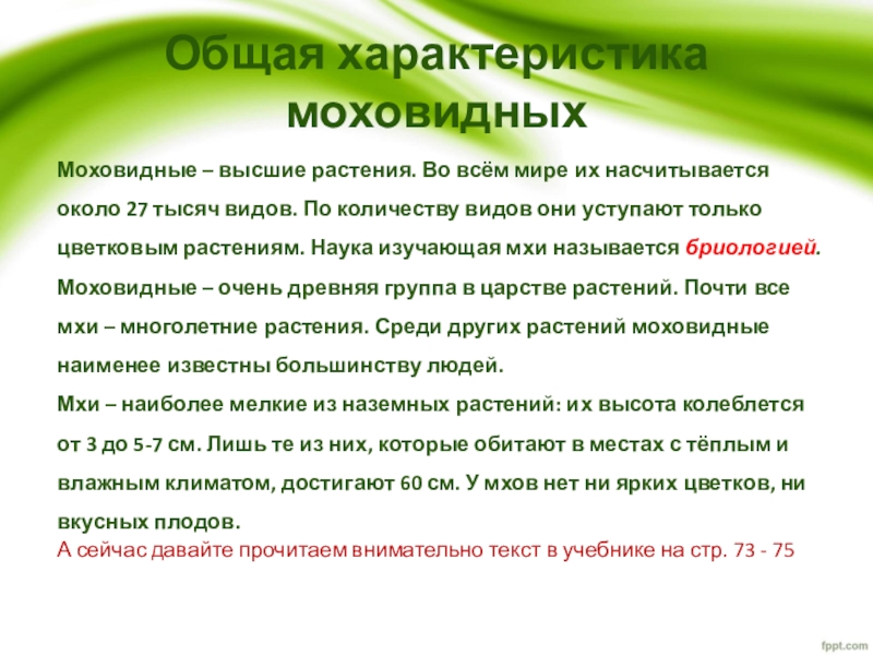 Презентация по биологии на тему Зелёные мхи (5 класс) Общая характеристика моховидныхМоховидные – высшие растения. Во всём мире их насчитывается Общая характеристика моховидныхМоховидные – высшие растения. Во всём мире их насчитывается около 27 тысяч видов. По количеству