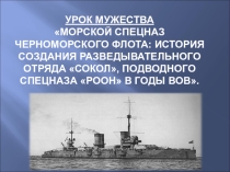 Урок мужества Морской спецназ Черноморского флота: история создания разведывательного отряда Сокол, подводного спецназа роон в годы вов.