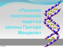 Презентация Решение генетических задач (10 класс)
