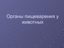 Презентацияорганы пищеварения у животных