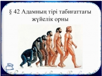 Презентация по биология на тему Адамның жануарлар дүниесіндегі алатын орны (11 класс)