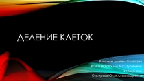 Деление клеток
