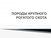 Породы КРС