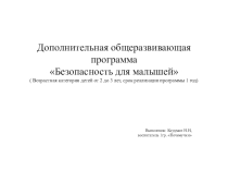 Презентация Дополнительная общеразвивающая программа Безопасность для малышей (Возрастная категория детей от 2 до 3 лет)