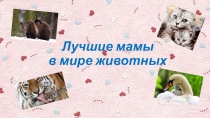 Лучшие мамы в мире животных