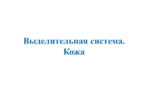 Презентация-тренажер по теме Выделительная система. Кожа. (тестовые задания)