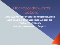 Исследовательская работа по биологии