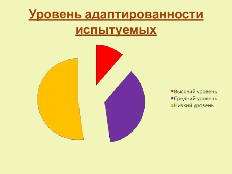 Социально-воспитательная система школы по реабилитации детей, пострадавших от жестокого обращения в семье, переживших насилие Уровень адаптированности испытуемых Уровень адаптированности испытуемых