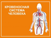 Презентация по окружающему миру на тему: Кровеносная система
