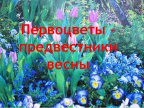 Первоцветы- предвестники весны