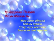 Ұлулар типіне жататын жәндіктердің негізгі ерекшеліктері