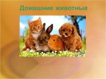 Презентация для второй младшей группы на тему: Домашние животные