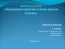 Презентация к исследованию по окружающему миру во 2 классе Накормим синичек и всех малых птичек
