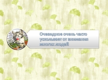 Презентация Развиваем внимание. Занятие 3