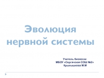 Презентация по биологии на тему Эволюция нервной системы
