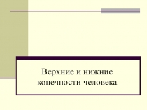 Презентация по теме Верхние и нижние конечности