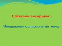 Кружок Умелые ручки на тему Комнатные цветы