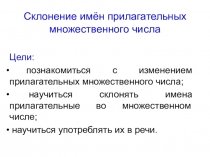 Презентация по русскому языку на тему  Склонение прилагательных множественного числа (4 класс)