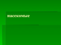 Насекомые презентация для детей коррекционной группы