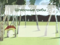 Презентация по биологии на темуШляпочные грибы(6 класс)