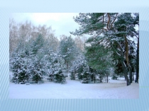 Презентация к уроку русского языка Образование слов-названий признаков с помощью суффиксов