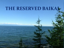 Презентация по английскому языку на тему The Reserved Baikal