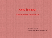 Презентация Наука о Зоологии. Семейство кошачьих
