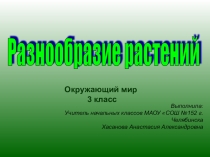 Презентация по окружающему миру Разнообразие растений