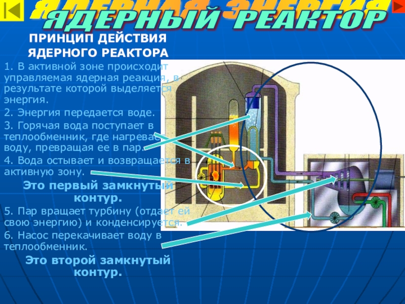 Строение атома, использование атомной энергии ПРИНЦИП ДЕЙСТВИЯЯДЕРНОГО РЕАКТОРА1. В активной зоне происходит управляемая ядерная реакция, в ПРИНЦИП ДЕЙСТВИЯЯДЕРНОГО РЕАКТОРА1. В активной зоне происходит управляемая ядерная реакция, в результате которой выделяется энергия.2. Энергия передается