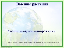 Хвощи, папоротники, плауны