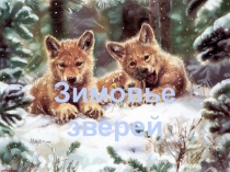 Презентация по познавательному развитию на тему Как зимуют звери