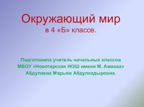 Презентация по окружающему миру к уроку в 4 классе по теме Тундра