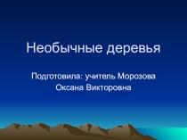 Презентация по окружающему миру на тему Необычные деревья