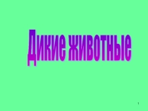 Презентация по теме Дикие животные