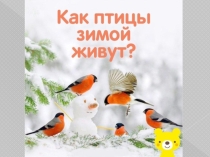 Презентация по окружающему миру на тему Как живут животные?