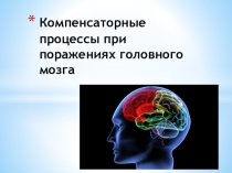 Компенсаторные процессы при поражениях головного мозга